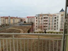 Miniaturka