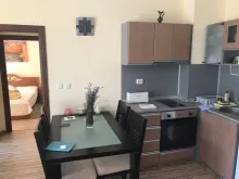 Miniaturka