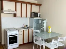 Miniaturka