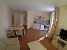 Miniaturka