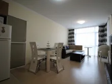 Miniaturka