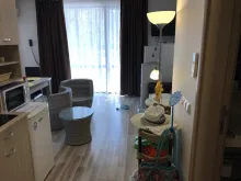 Miniaturka