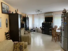 Miniaturka