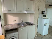 Miniaturka
