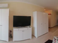 Miniaturka