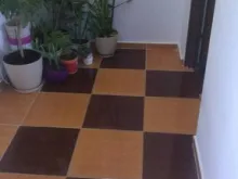 Miniaturka