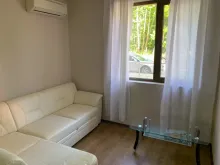 Miniaturka