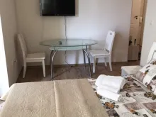 Miniaturka