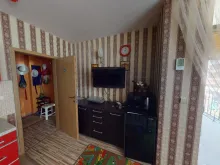 Miniaturka