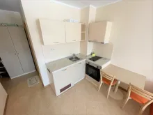 Miniaturka