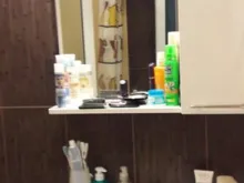 Miniaturka