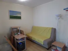 Miniaturka