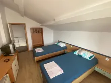 Miniaturka