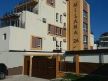 Miniaturka