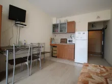 Miniaturka