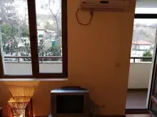 Miniaturka