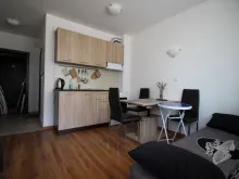 Miniaturka