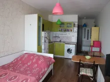 Miniaturka