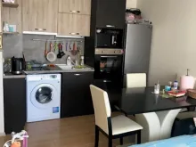 Miniaturka
