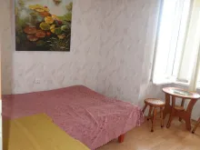Miniaturka