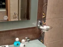 Miniaturka