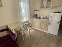 Miniaturka