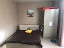 Miniaturka