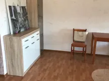 Miniaturka