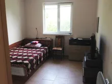Miniaturka