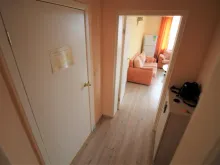 Miniaturka
