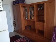 Miniaturka