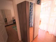 Miniaturka