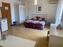 Miniaturka
