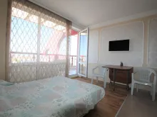Miniaturka