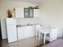 Miniaturka