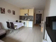 Miniaturka