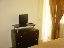 Miniaturka