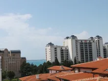 Miniaturka