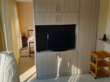 Miniaturka