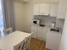 Miniaturka