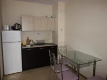 Miniaturka