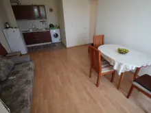 Miniaturka
