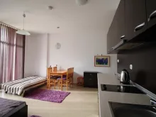 Miniaturka