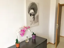 Miniaturka