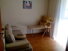Miniaturka