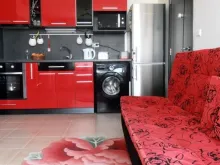 Miniaturka