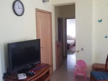 Miniaturka