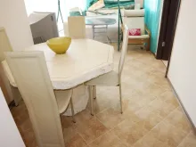 Miniaturka