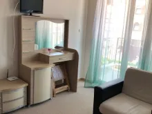 Miniaturka