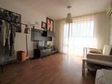 Miniaturka